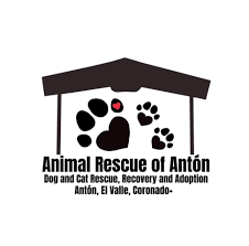 Animal rescue of Anton, Panama